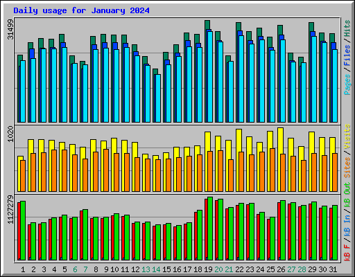 Daily usage for January 2024