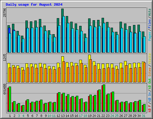 Daily usage for August 2024