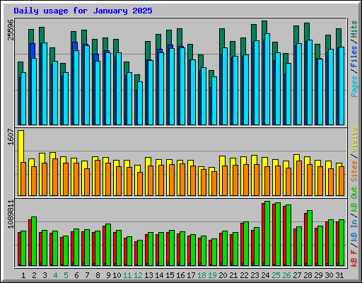 Daily usage for January 2025