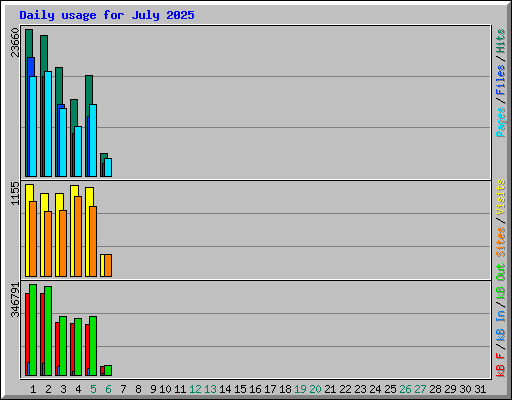 Daily usage for July 2025