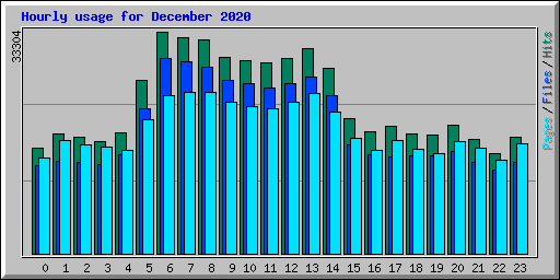 Hourly usage for December 2020