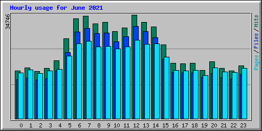 Hourly usage for June 2021
