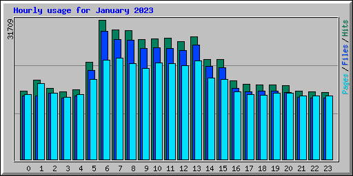 Hourly usage for January 2023