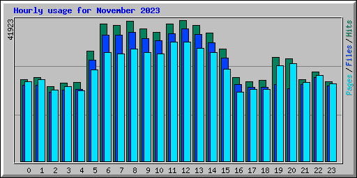 Hourly usage for November 2023