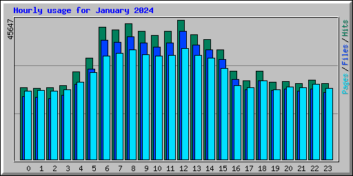 Hourly usage for January 2024