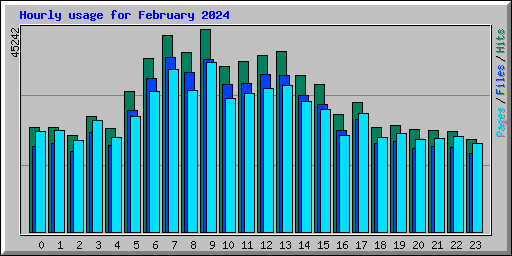 Hourly usage for February 2024