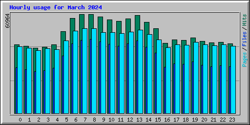 Hourly usage for March 2024