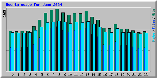 Hourly usage for June 2024