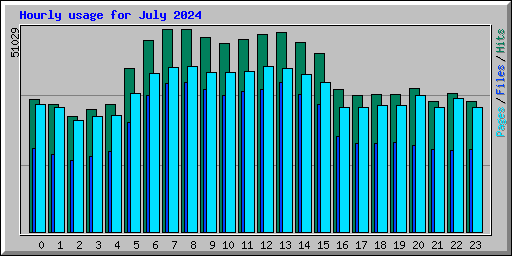 Hourly usage for July 2024