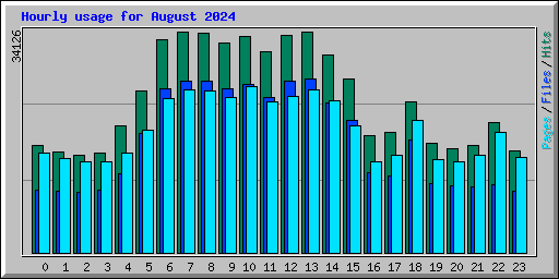 Hourly usage for August 2024