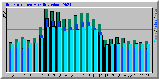 Hourly usage for November 2024