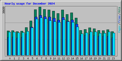 Hourly usage for December 2024
