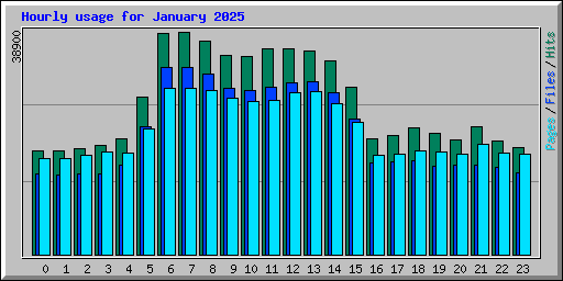 Hourly usage for January 2025