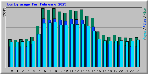 Hourly usage for February 2025
