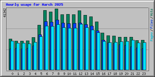 Hourly usage for March 2025