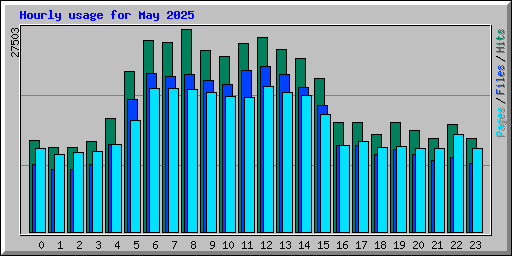 Hourly usage for May 2025