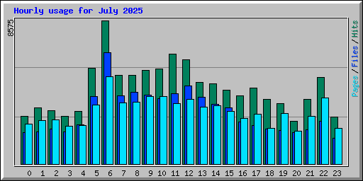 Hourly usage for July 2025
