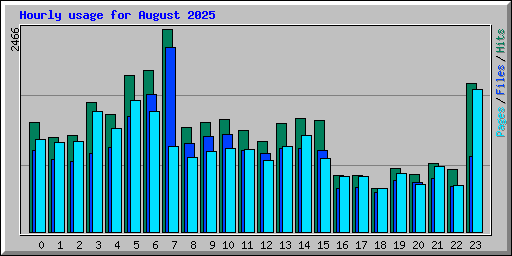 Hourly usage for August 2025