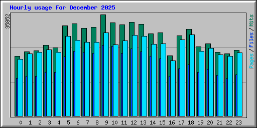 Hourly usage for December 2025