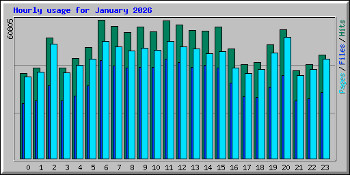 Hourly usage for January 2026