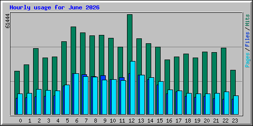 Hourly usage for June 2026