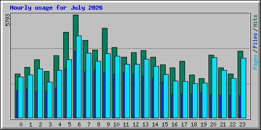 Hourly usage for July 2026