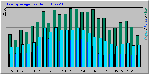 Hourly usage for August 2026