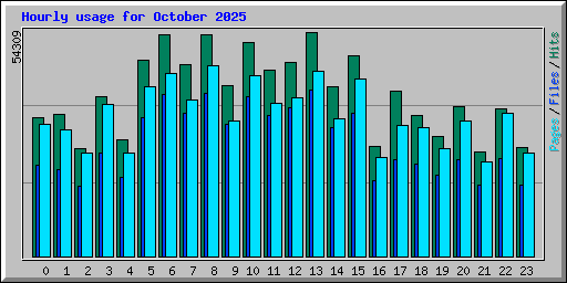 Hourly usage for October 2025